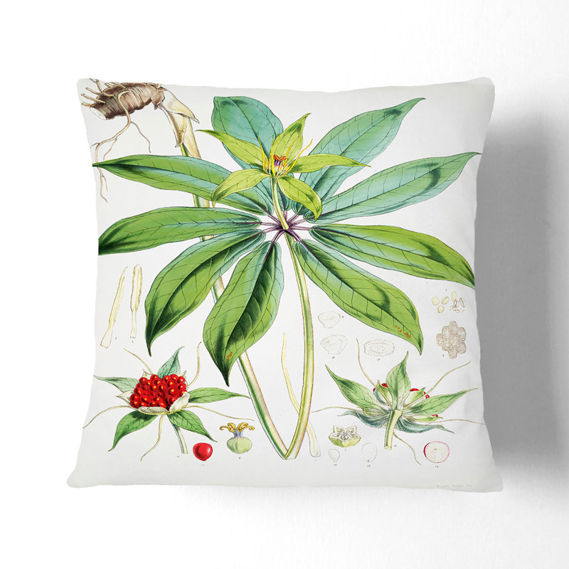 Floral Square Throw Cushion, Black, 55cm H x 55cm W x 20cm D