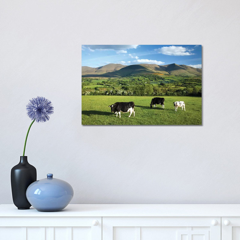 Cows Grazing In The Glen Of Aherlow, Galtee Mountains, County Tipperary, Ireland by Gareth McCormack - Wrapped Canvas Print