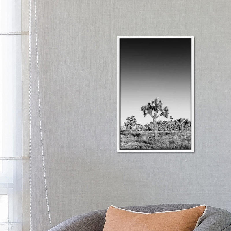 Joshua Trees Monochrome by Melanie Viola - Print on Canvas, White Framed, 66.04cm H x 45.72cm W x 3.81cm D