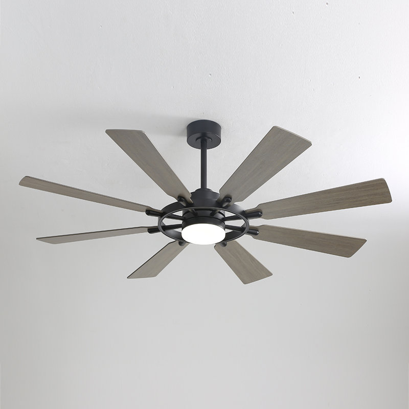 Antoinesha Ceiling Fan with LED Lights, Black, Gray, 60"