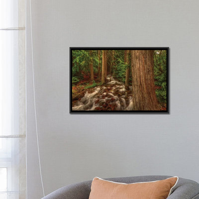" Brook " by Bill Sherrell