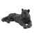 Gloss Black is out of stock selected