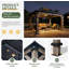Pavillon de jardin permanent en bois 10 pi x 12 pi avec toit double en acier galvanisé pour terrasse, jardin, terrasse, bois de cèdre, gris