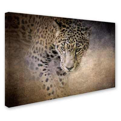 «Stalking Her Prey Leopard» de Vidur, impression sur toile tendue