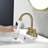 Centerset 2-handle Bathroom Faucet with Drain Assembly-70980520