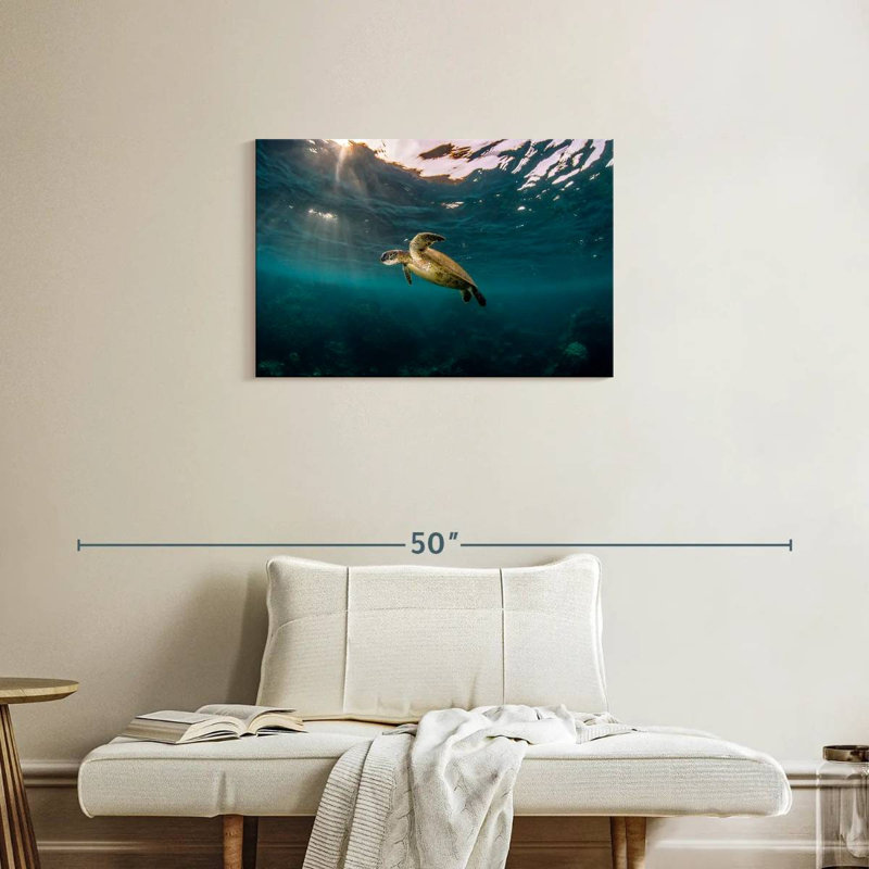 Ningaloo Reef Sea Turtle, 20" H x 30" W
