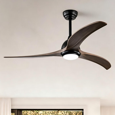 Ventilateur de plafond 52 po noir mat avec lumière 