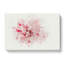Striking White And Pink Carnation In Abstract - Wrapped Canvas-55337232