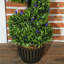 115cm Tree