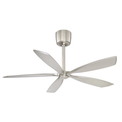 Ventilateur de plafond standard à 5 pales de 54 po avec télécommande et ensemble d'éclairage Damm