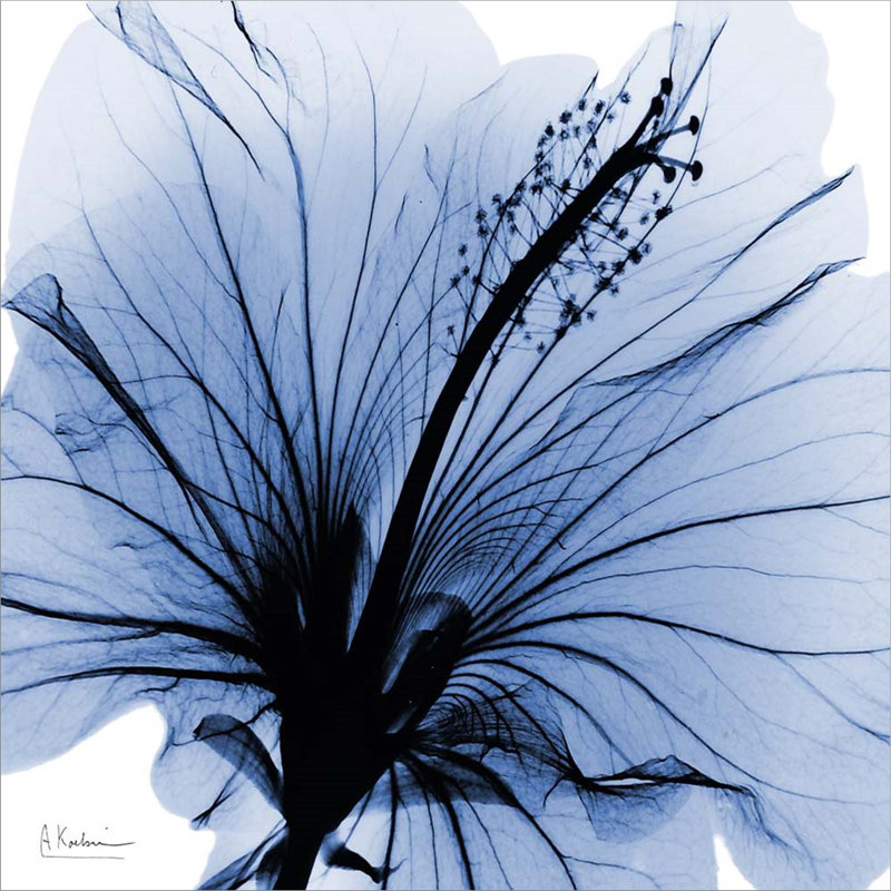 Décoration murale hibiscus