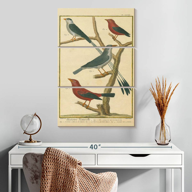 Brampt Bird Drawing I, 32" H x 20" W