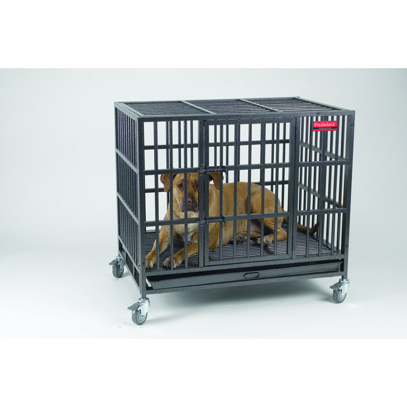 Metal Pet Crate with 1 Door, Large (41.25" H x 30.75" W x 42.25" D)