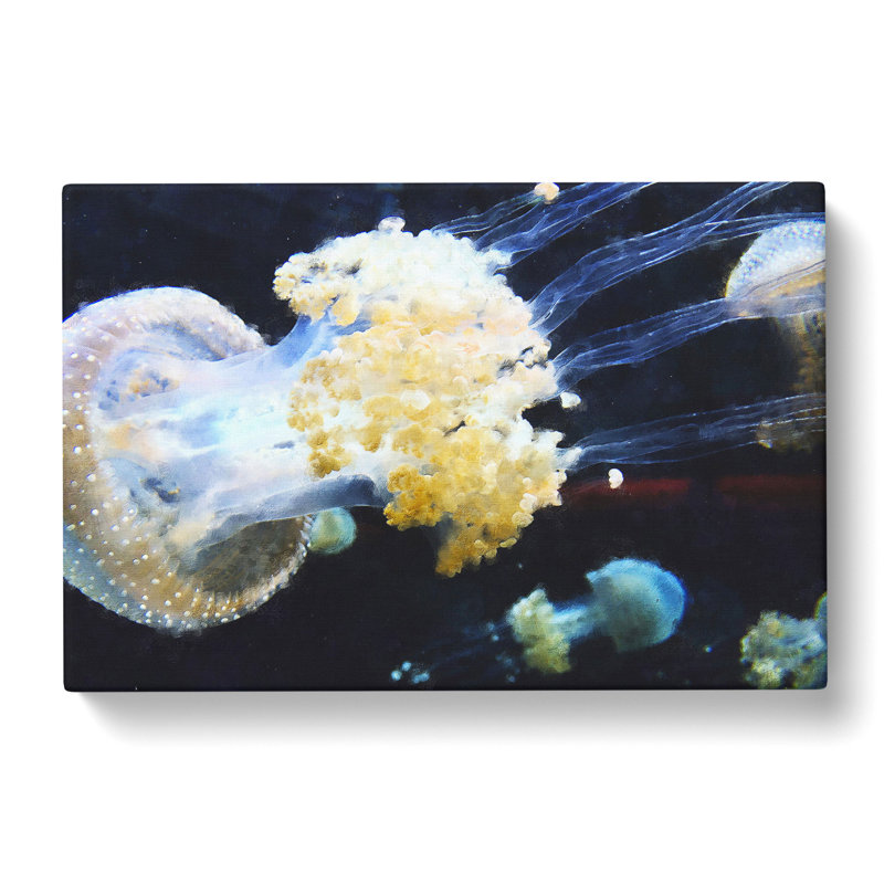 Jellyfish Vol.3 - Wrapped Canvas, 40cm H x 60cm W x 3cm D