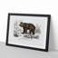 Brown Bear by Charles d'Orbigny - Picture Frame Painting Print on MDF-55512874-55512879