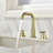 Widespread 2-handle Bathroom Faucet-52821014