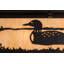 Hyde Park Loon 4 - Light Flush Mount