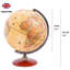 Tabletop Globe