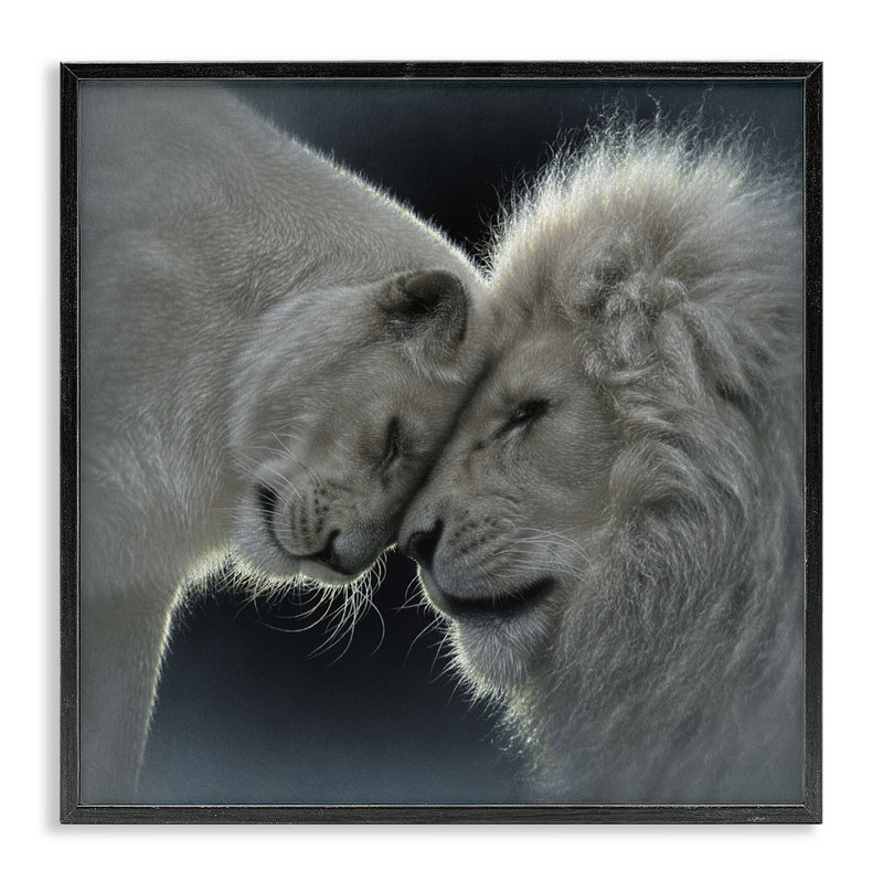 Giclée encadrée «White Lion Love», conception par Collin Bogle, Giclée encadrée noir minuit, H 12 po x l 12 po
