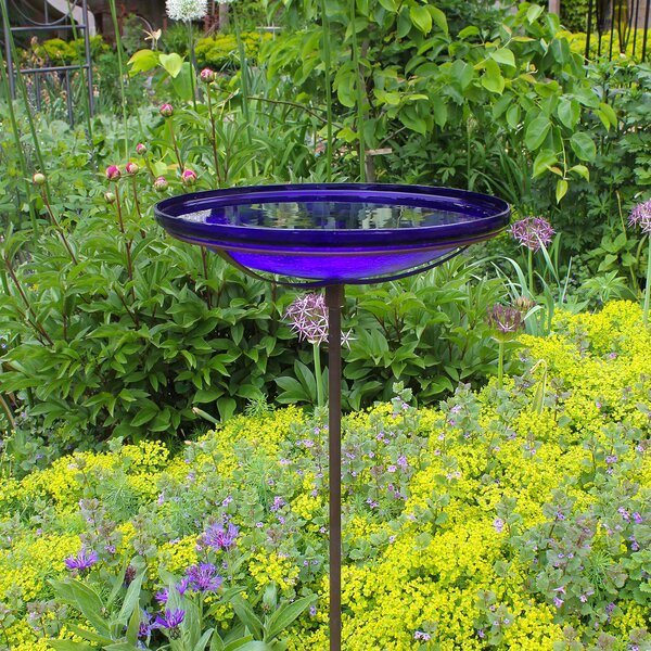 https://assets.wfcdn.com/im/95243369/resize-h600-w600%5Ecompr-r85/1245/124576595/Crackle+Glass+Birdbath+Bowl+with+Stake%2C+14-in.jpg