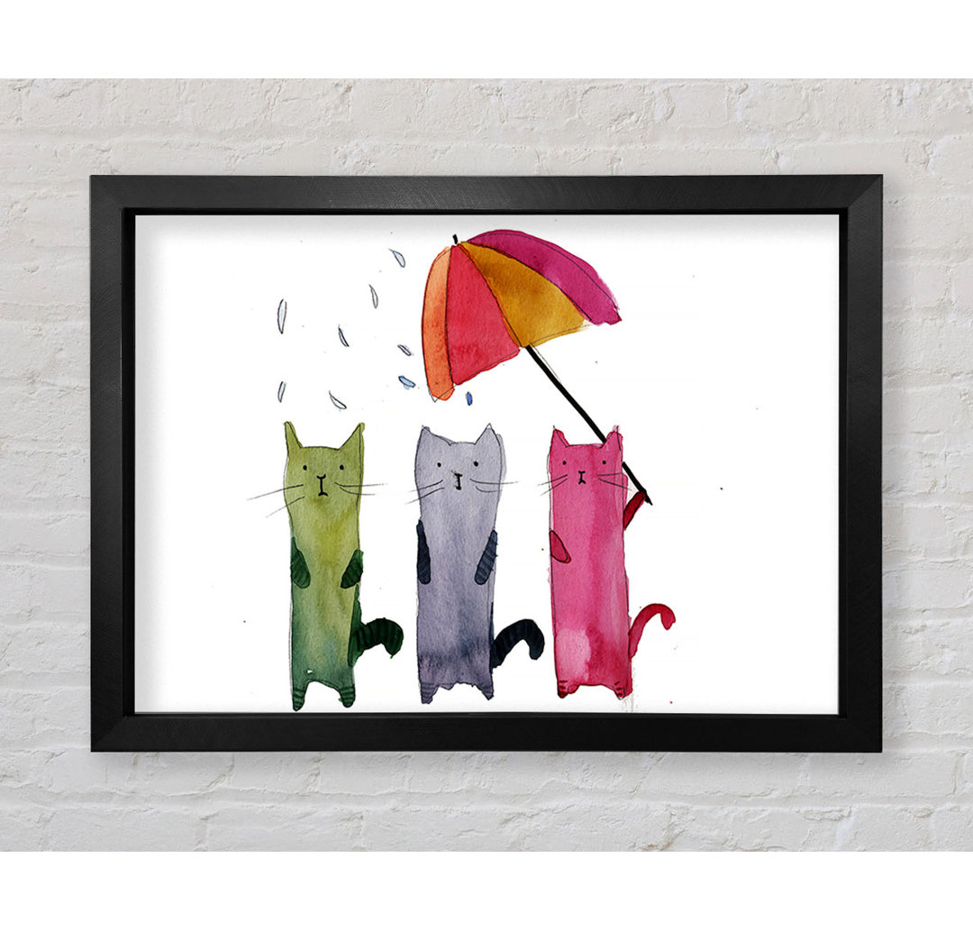 Regenschirm Katzen Gerahmter Druck