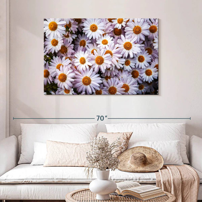 Harnek Shasta Daisies, 30" H x 45" W