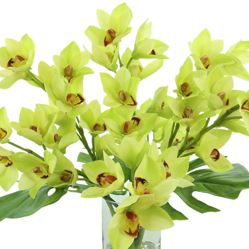 Orchids And Leaves In A Glass Vase
