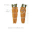 Ensemble de 3 carottes au printemps