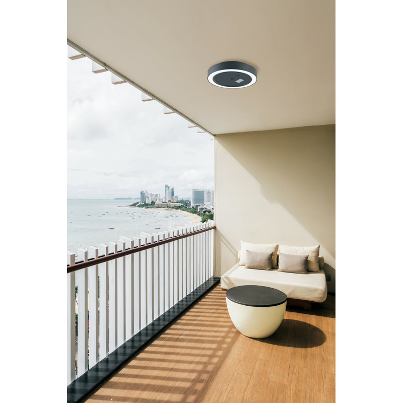 Anthracite LED Outdoor Flush Mount