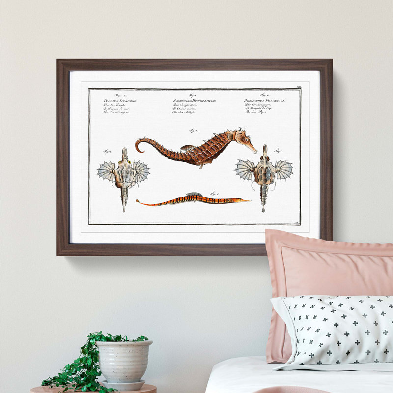 Seahorse & Sea Dragon by M.E. Bloch - Framed Print, 36cm H x 48cm W x 2cm D, Walnut Framed