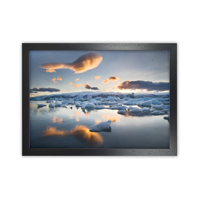 Lagoon Duck 1 Piece Wall Art on Canvas