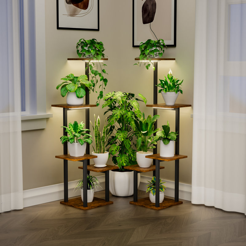 39 po de hauteur pour plante d'intérieur 39 po