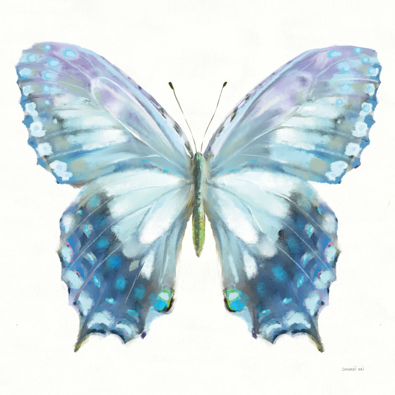 Impression sur toile Arlisha "Aflutter I" par Danhui Nai, H 12 po x l 12 po, Non, Cadre flottant noyer