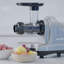 BioChef Axis 150 Watt Electric Slow Masticating & Cold Press Juicer-61340675