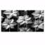 Monochromes poinsettias botanique beauté - ensemble de décorations murales poinsettias-1825515826