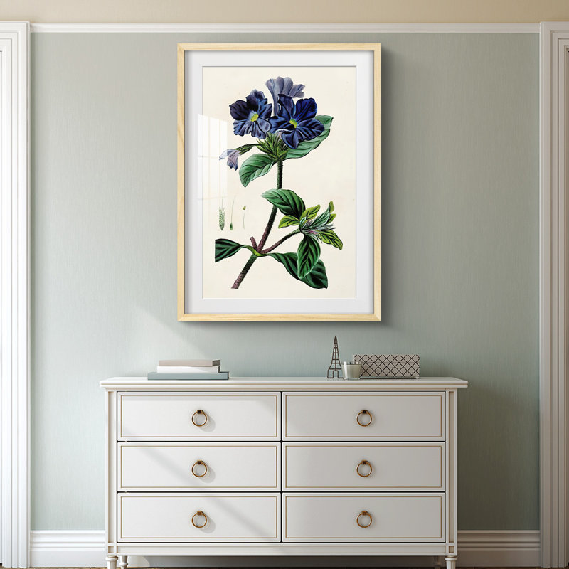 Sylvester -Gallery Wrapped Canvas