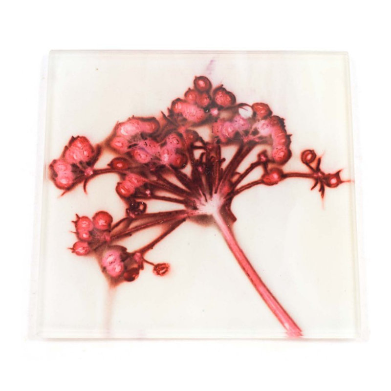 Glass Square 1 Piece Coaster