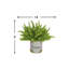 Heather Arrangement In A Glass Vase With French Label