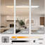 Okamoto LED Flush Mount