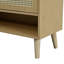 Shoe Storage Cabinet