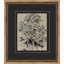 Antique Tree Study 1 Framed Painting