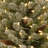 Flocked Fir Tree with LED Lights-1334224386