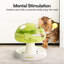 Enrichissement interactif de chat à champignon Interactives