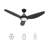 52" Smart Ceiling Fan with Remote, LED Light kit, DC Motor, Downrod Included