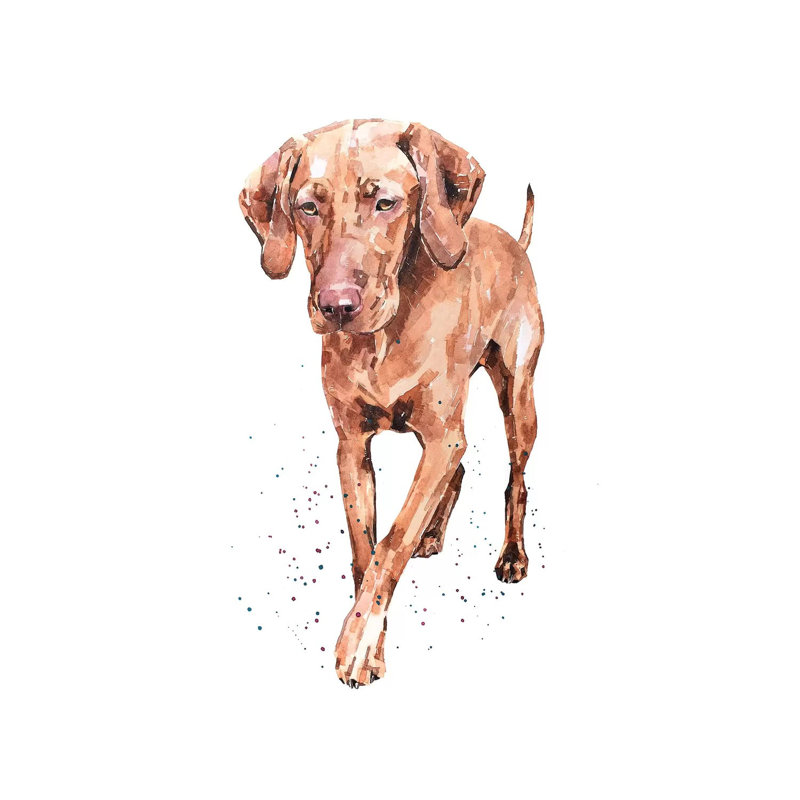 Best Foot Forward Vizsla - Painting on Canvas, Wrapped Canvas, 20.32 cm H x 30.48 cm W