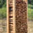 White Oak is out of stock