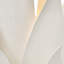 Agave 2 - Light Sconce-821969247