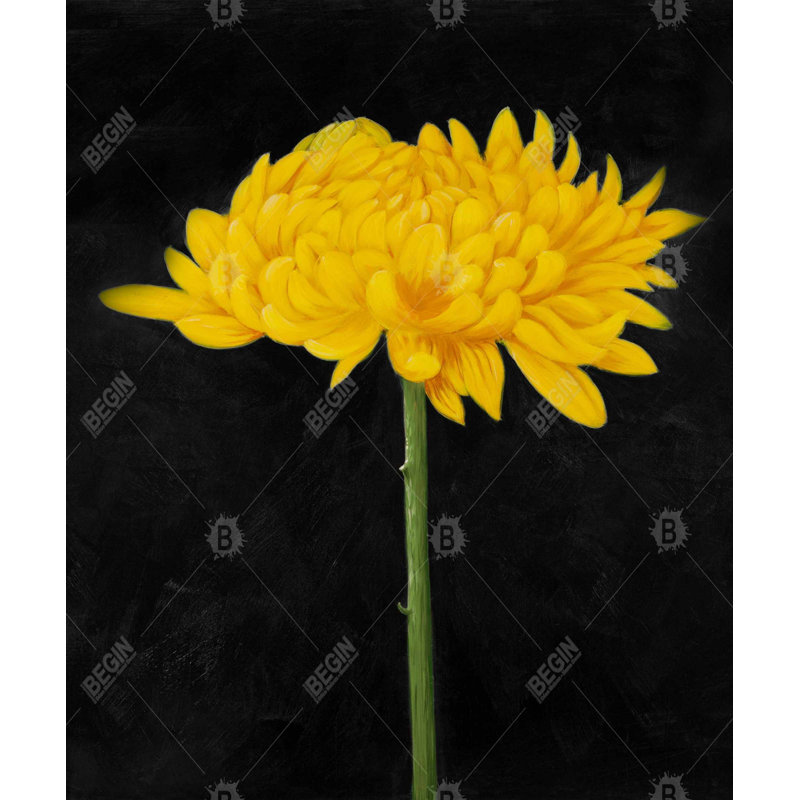 Chrysanthème - Art floral sur toile encadré pour la décoration du salon