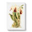 Magnolia Flowers Illustration Tab.5 by Frederick Sander - Wrapped Canvas-55308417