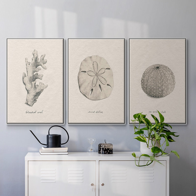 Shore Treasure Study I 3 pièces, H 40 po x l 78 po, Blanc